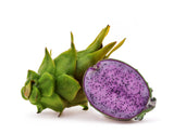 Pitahaya Edgar’s Baby