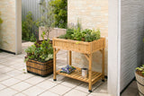 VegTrug Herb garden