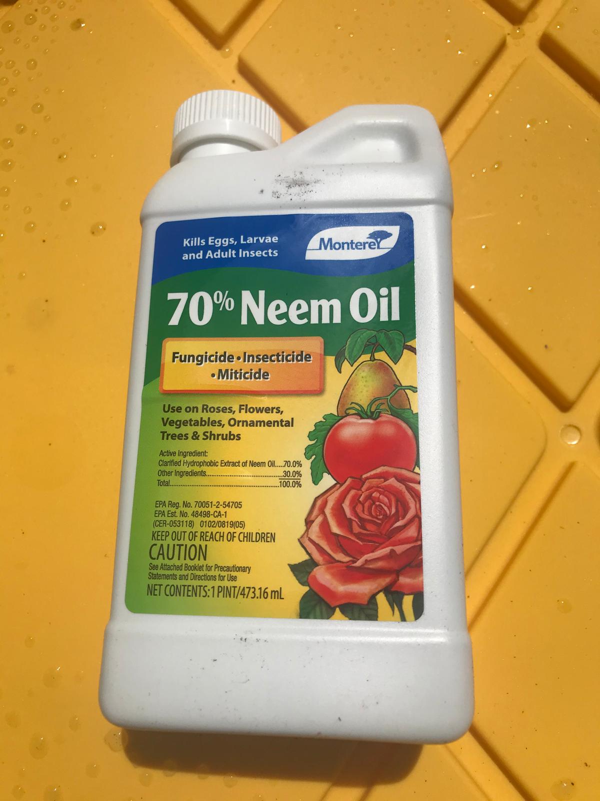 Aceite de neem puro, aceite de neem para plantas, concentrado de aceite de  neem de azadiracfina prensado en frío para plantas e irrigación, aerosol de